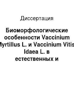 Диссертация: Биоморфологические особенности Vaccinium Myrtillus L. и Vaccinium Vitis-Idaea L. в естественных и антропогенно нарушенных лесных сообществах Кольского полуострова