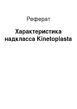 Реферат: Характеристика надкласса Kinetoplasta