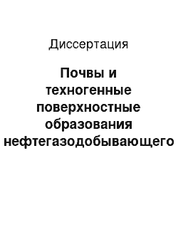 Диссертация: Почвы и техногенные поверхностные образования нефтегазодобывающего комплекса правобережья Средней Оби: На примере западной части Нижневартовского района Ханты-Мансийского автономного округа — Югры