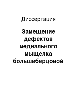 Диссертация: Замещение дефектов медиального мыщелка большеберцовой кости при первичном эндопротезировании коленного сустава