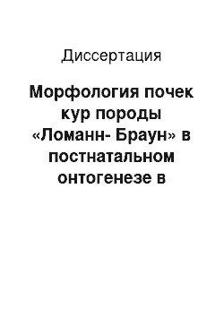 Диссертация: Морфология почек кур породы «Ломанн-Браун» в постнатальном онтогенезе в норме и при применении минеральной подкормки «БШ»