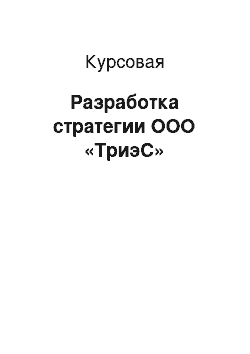 Курсовая: Разработка стратегии ООО «ТриэС»