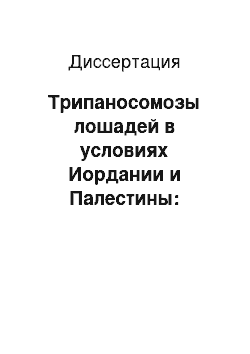 Диссертация: Трипаносомозы лошадей в условиях Иордании и Палестины: Эпизоотология, патогенез, влияние цимеларсана на морфологию Trypanosoma equiperdum