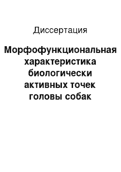 Диссертация: Морфофункциональная характеристика биологически активных точек головы собак