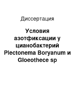 Диссертация: Условия азотфиксации у цианобактерий Plectonema Boryanum и Gloeothece sp