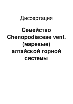 Диссертация: Семейство Chenopodiaceae vent. (маревые) алтайской горной системы