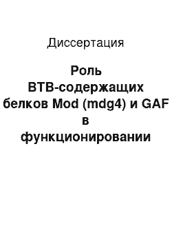 Диссертация: Роль ВТВ-содержащих белков Mod (mdg4) и GAF в функционировании инсулятора Su (Hw) у Drosophila melanogaster