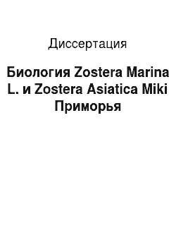 Диссертация: Биология Zostera Marina L. и Zostera Asiatica Miki Приморья