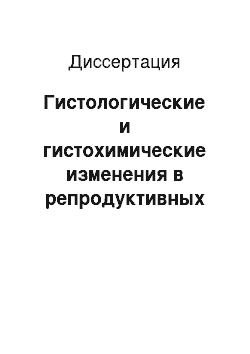 Диссертация: Гистологические и гистохимические изменения в репродуктивных органах самок свиней к периоду полового созревания