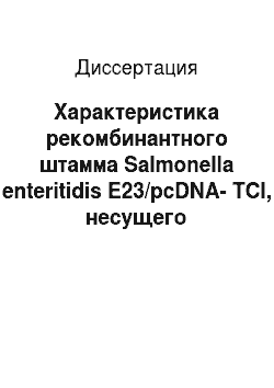 Диссертация: Характеристика рекомбинантного штамма Salmonella enteritidis E23/pcDNA-TCI, несущего ДНК-вакцину против ВИЧ-1, и исследование его иммуногенных свойств в составе суппозиториев