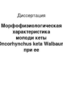 Диссертация: Морфофизиологическая характеристика молоди кеты (Oncorhynchus keta Walbaum) при ее воспроизводстве на лососевых рыбоводных заводах Сахалина