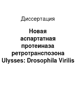 Диссертация: Новая аспартатная протеиназа ретротранспозона Ulysses: Drosophila Virilis