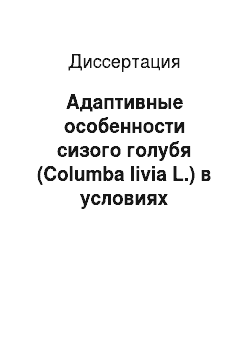Диссертация: Адаптивные особенности сизого голубя (Columba livia L.) в условиях урбанизированной среды: на примере города Казани