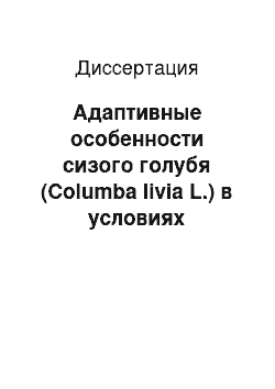 Диссертация: Адаптивные особенности сизого голубя (Columba livia L.) в условиях урбанизированной среды: на примере города Казани