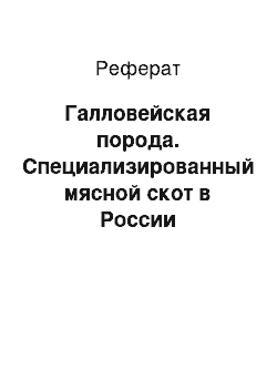 Реферат: Галловейская порода. Специализированный мясной скот в России