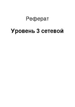 Реферат: Уровень 3 сетевой