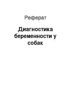 Реферат: Диагностика беременности у собак