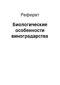 Реферат: Биологические особенности виноградарства