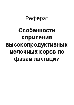 Реферат: Особенности кормления высокопродуктивных молочных коров по фазам лактации