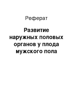 Реферат: Развитие наружных половых органов у плода мужского пола