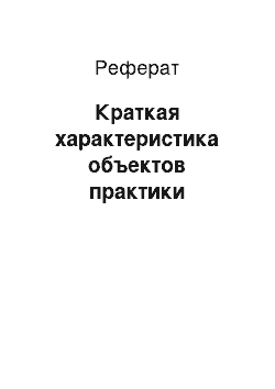 Реферат: Краткая характеристика объектов практики