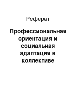 Реферат: Профессиональная ориентация и социальная адаптация в коллективе