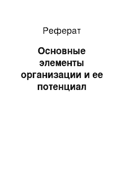 Реферат: Основные элементы организации и ее потенциал