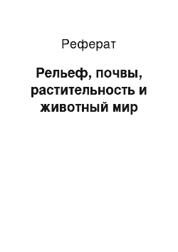 Реферат: Рельеф, почвы, растительность и животный мир