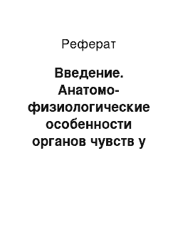 Реферат: Введение. Анатомо-физиологические особенности органов чувств у детей. Органы зрения, слуха, обоняния, вкуса