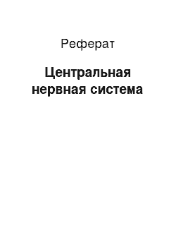 Реферат: Центральная нервная система