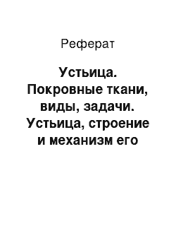 Реферат: Устьица. Покровные ткани, виды, задачи. Устьица, строение и механизм его работы. Трихомы, типы и функции