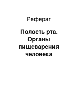 Реферат: Полость рта. Органы пищеварения человека