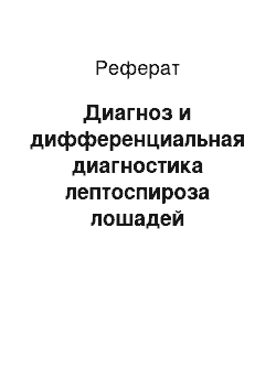 Реферат: Диагноз и дифференциальная диагностика лептоспироза лошадей