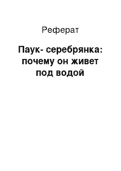 Реферат: Паук-серебрянка: почему он живет под водой