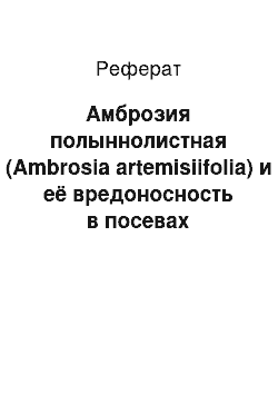 Реферат: Амброзия полыннолистная (Ambrosia artemisiifolia) и её вредоносность в посевах подсолнечника в зависимости от фона минерального питания