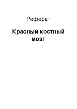 Реферат: Красный костный мозг