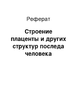 Реферат: Строение плаценты и других структур последа человека