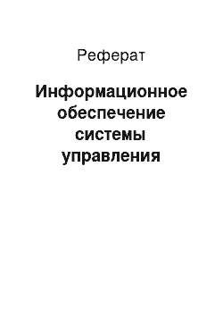 Реферат: Информационное обеспечение системы управления