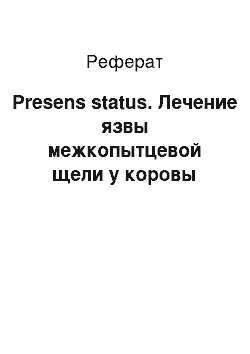 Реферат: Presens status. Лечение язвы межкопытцевой щели у коровы