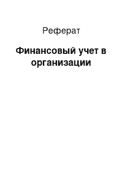 Реферат: Финансовый учет в организации