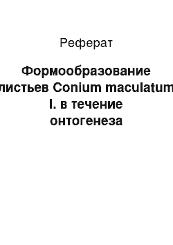 Реферат: Формообразование листьев Conium maculatum l. в течение онтогенеза