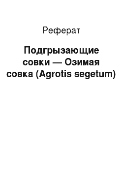 Реферат: Подгрызающие совки — Озимая совка (Agrotis segetum)