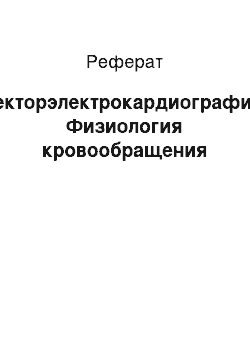 Реферат: Векторэлектрокардиография. Физиология кровообращения