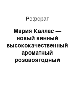 Реферат: Мария Каллас — новый винный высококачественный ароматный розовоягодный сорт винограда