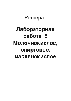 Реферат: Лабораторная работа №5 Молочнокислое, спиртовое, маслянокислое брожение. Приготовление препарата молочнокислых бактерий