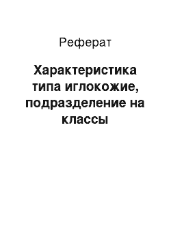 Реферат: Характеристика типа иглокожие, подразделение на классы