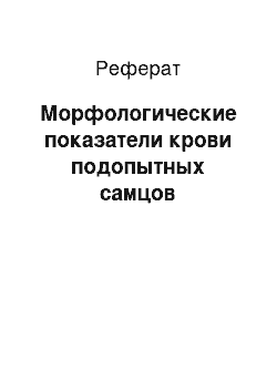 Реферат: Морфологические показатели крови подопытных самцов