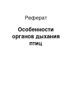 Реферат: Особенности органов дыхания птиц