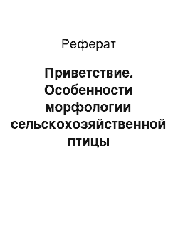 Реферат: Приветствие. Особенности морфологии сельскохозяйственной птицы