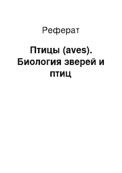 Реферат: Птицы (aves). Биология зверей и птиц